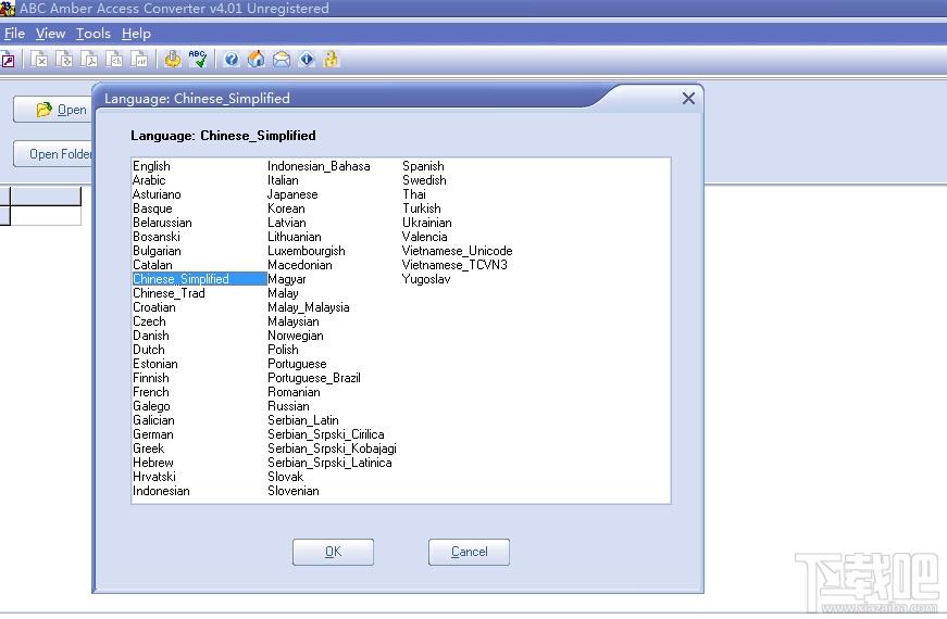 ABC Amber Access Converter,mdb数据库转换器