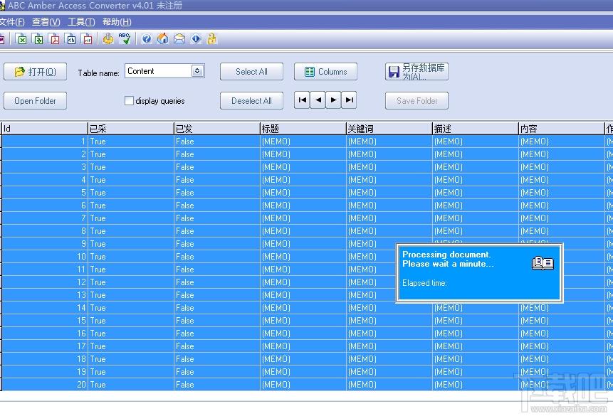 ABC Amber Access Converter,mdb数据库转换器