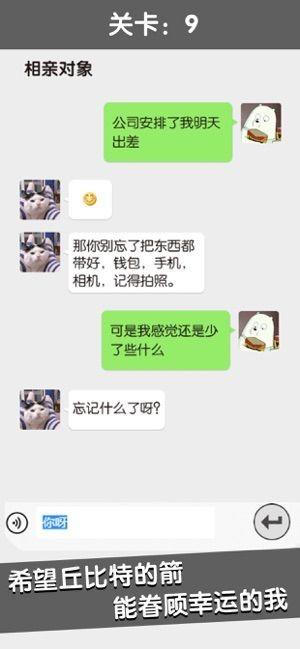 中国式相亲手游(暂未上线),中国式相亲,相亲游戏