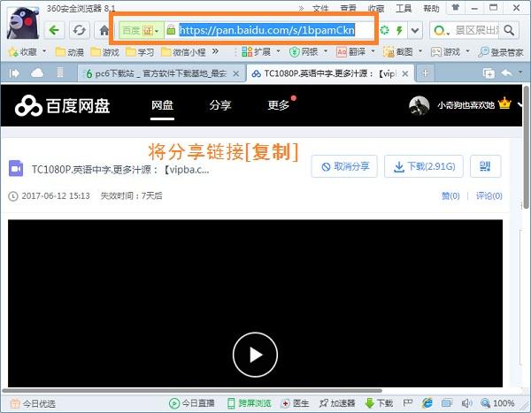 PanDownload ShareCopy.